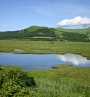八島ヶ原湿原